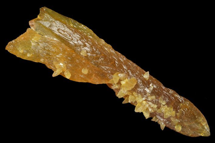 Highly Fluorescent, Amber Calcite Crystal - Porsgrunn, Norway #177284